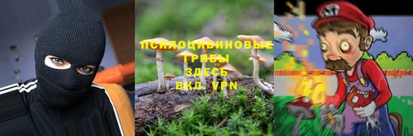 трава Кодинск