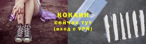трава Кодинск