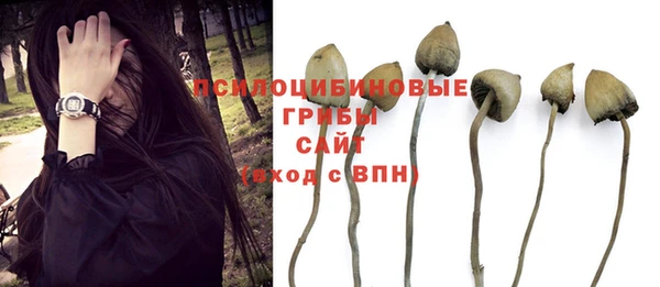 мяу мяу мука Козловка
