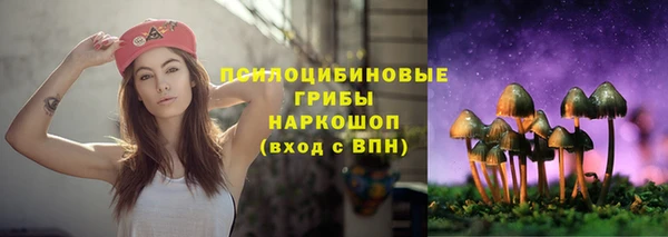 трава Кодинск