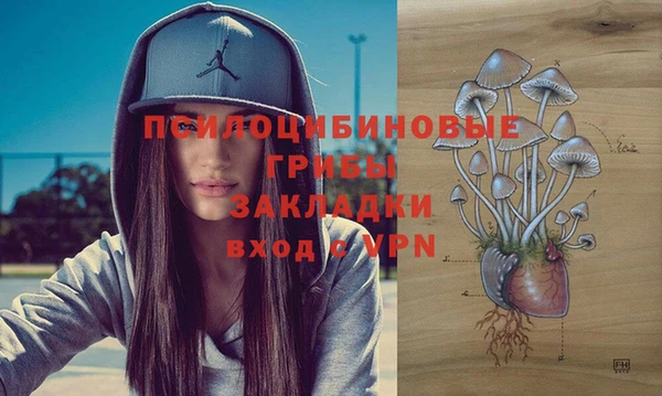 спайс Козельск